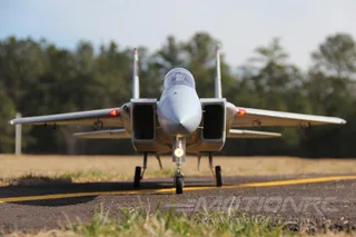 Радиоуправляемая модель самолета FreeWing F-15C Eagle PNP FJ30913P — фото 8