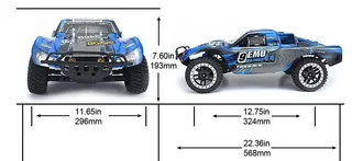 Remo Hobby Truck 9emu 4WD RTR масштаб 1:8 2.4G — фото 3