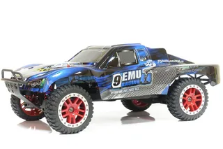 Машина Remo Hobby Truck 9emu 4WD RH1025