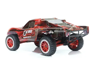 Машина Remo Hobby Truck 9emu 4WD RH1025 — фото 13