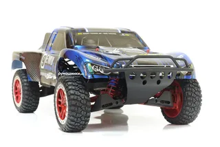 Машина Remo Hobby Truck 9emu 4WD RH1025 — фото 15