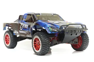 Машина Remo Hobby Truck 9emu 4WD RH1025 — фото 18