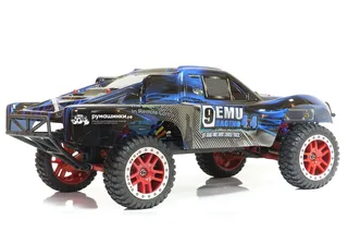 Машина Remo Hobby Truck 9emu 4WD RH1025 — фото 19