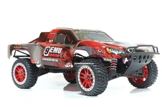 Машина Remo Hobby Truck 9emu 4WD RH1025 — фото 20
