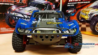 Машина Remo Hobby Truck 9emu 4WD RH1025 — фото 32