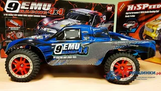 Машина Remo Hobby Truck 9emu 4WD RH1025 — фото 33