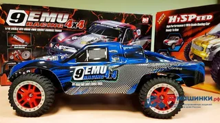 Машина Remo Hobby Truck 9emu 4WD RH1025 — фото 34
