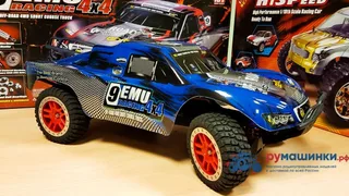 Машина Remo Hobby Truck 9emu 4WD RH1025 — фото 35