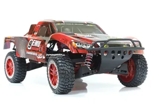 Машина Remo Hobby Truck 9emu 4WD RH1025 — фото 36