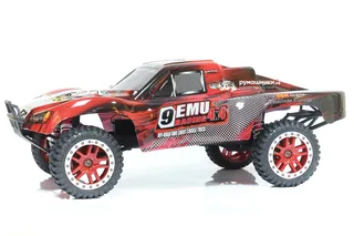 Машина Remo Hobby Truck 9emu 4WD RH1025 — фото 5