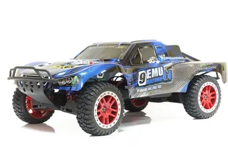 Машина Remo Hobby Truck 9emu 4WD RH1025 — фото 6