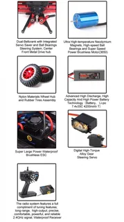 Remo Hobby Rally Master 4WD RTR масштаб 1:8 2.4G RH8085 — фото 14