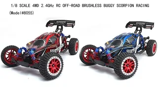 Remo Hobby Scorpion 4WD RTR масштаб 1:8 2.4G — фото 10