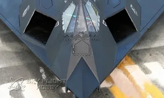 Радиоуправляемый самолет LX F-117 PNP — фото 3
