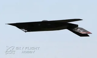 Радиоуправляемый самолет LX F-117 PNP — фото 4