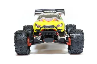 Трагги на радиоуправлении Remo Hobby Traggy Brushless EVO-R RH8066 — фото 3