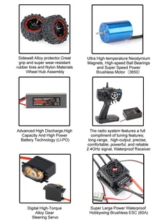 Remo Hobby Dinosaurs Master 5 Brushless RH8035 — фото 14