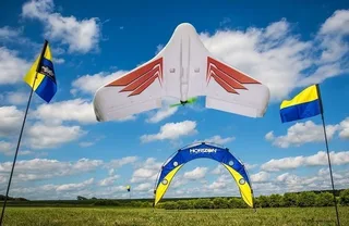 Радиоуправляемое крыло Blade Theory Type W FPV Ready (760мм) BNF Basic - BLH03055 — фото 5
